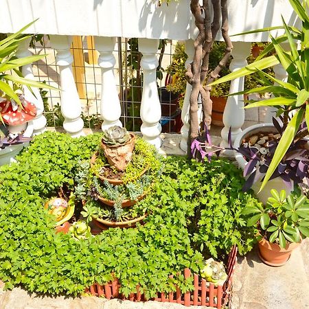 ليبتوكاريا Hotel Dimitra Zeus المظهر الخارجي الصورة