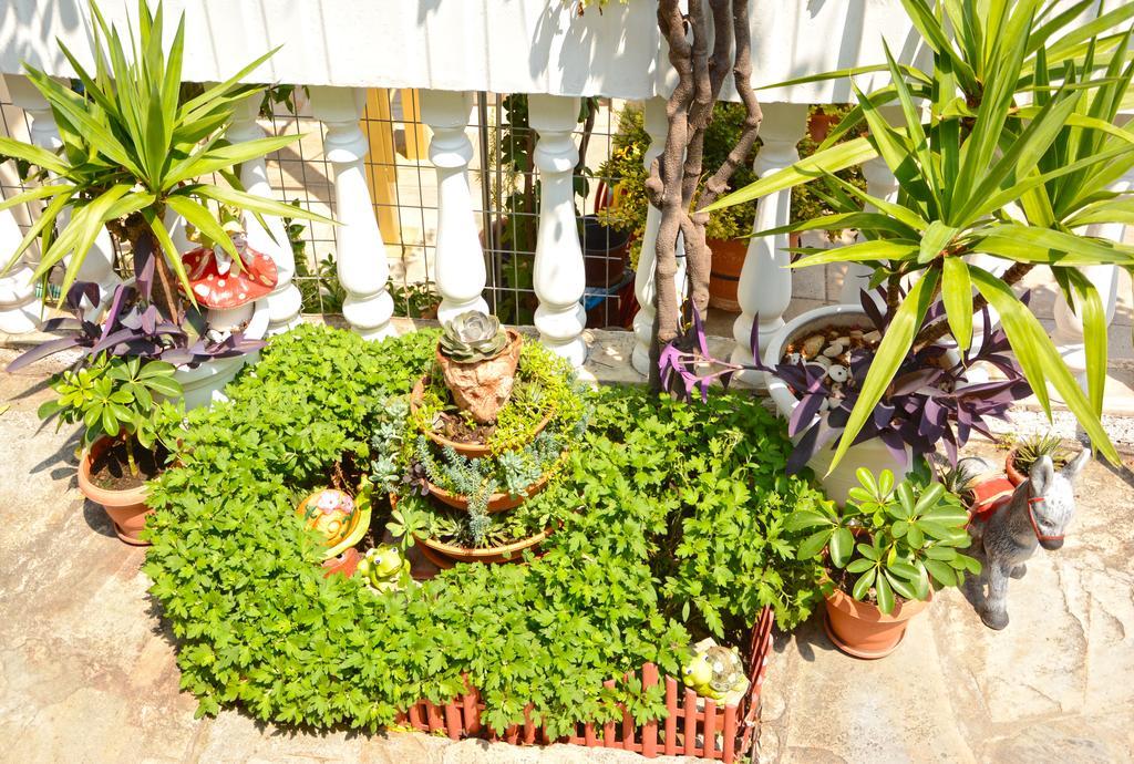 ليبتوكاريا Hotel Dimitra Zeus المظهر الخارجي الصورة