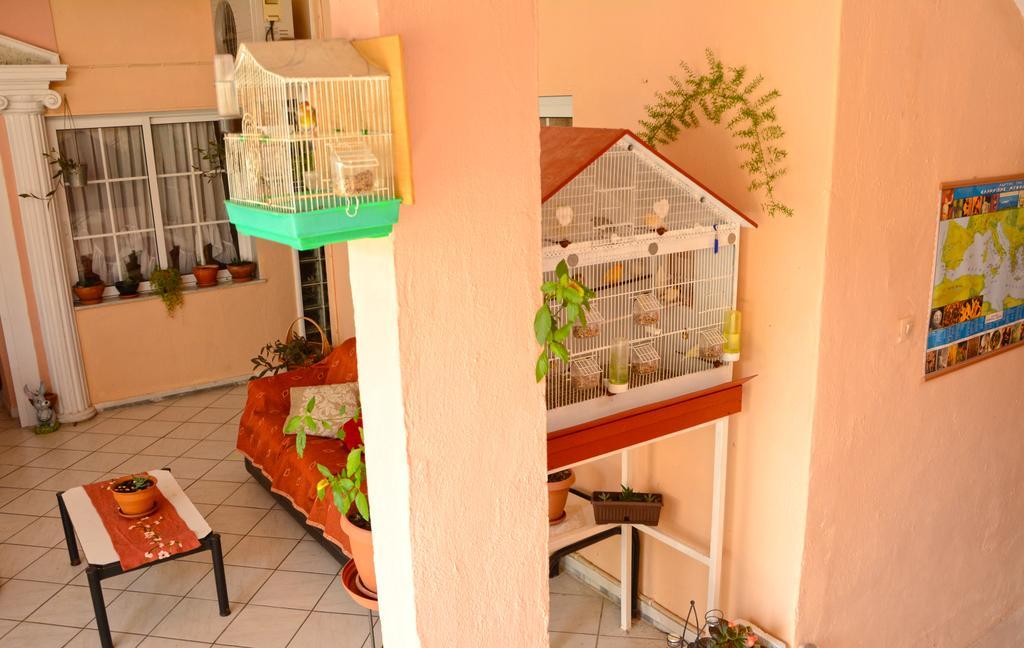 ليبتوكاريا Hotel Dimitra Zeus المظهر الخارجي الصورة