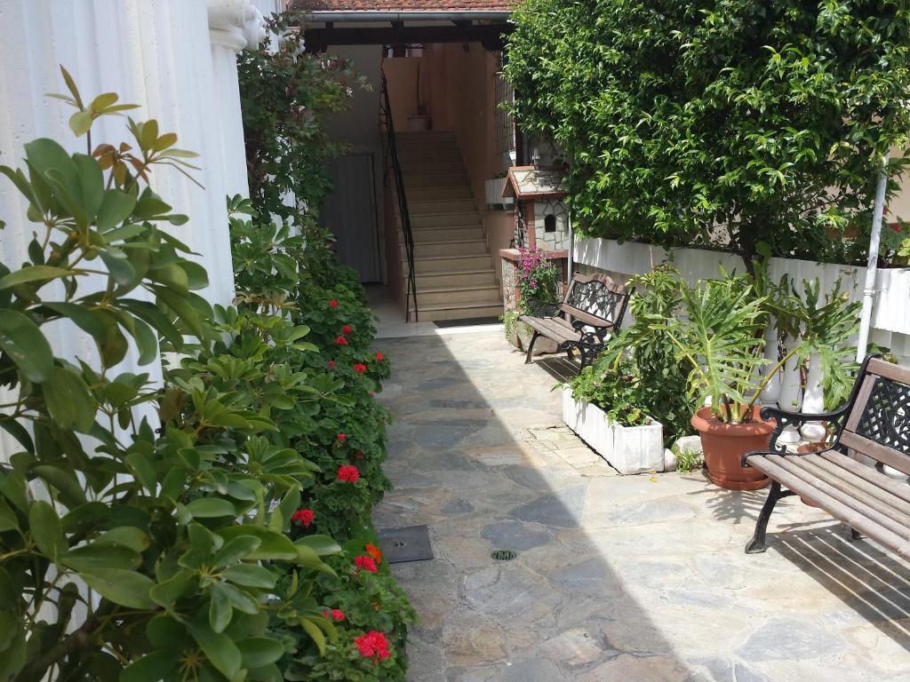 ليبتوكاريا Hotel Dimitra Zeus المظهر الخارجي الصورة